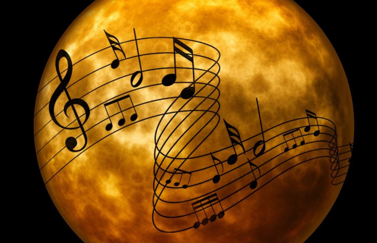 removals song by song